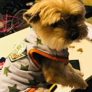 Small dog clothes